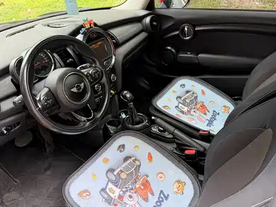MINI MINI 2015