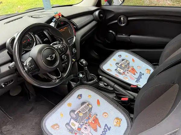 MINI 2015