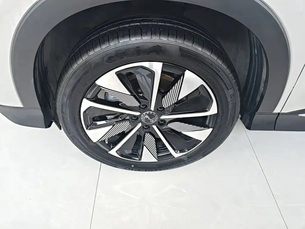 BYD Song PLUS New Energy 2025 — фото 23