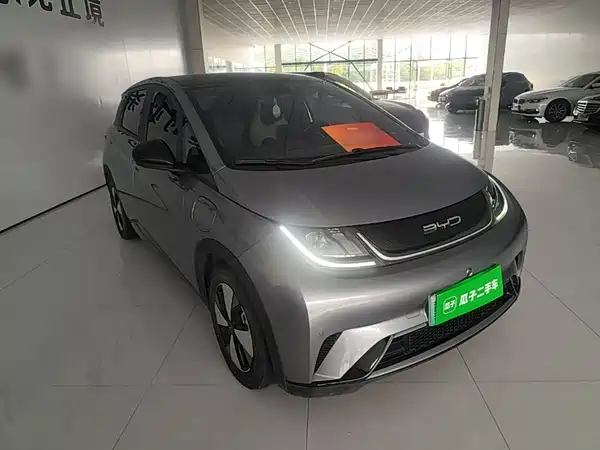 BYD Dolphin 2024