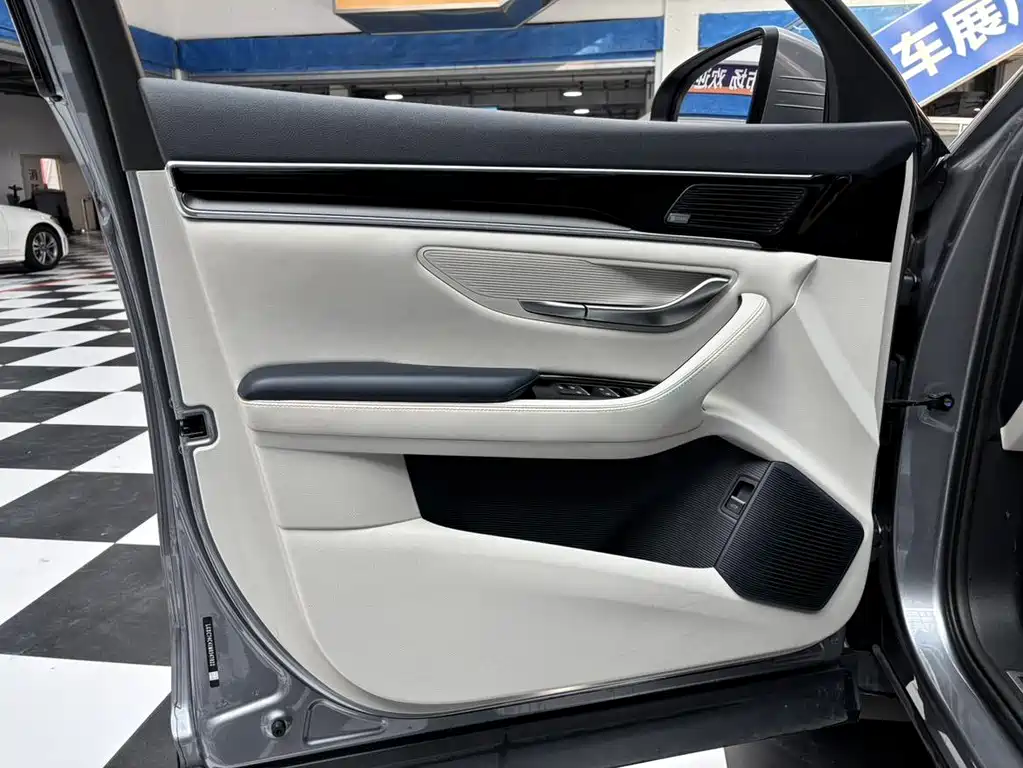 BYD PLUS New Energy 2022 — фото 10