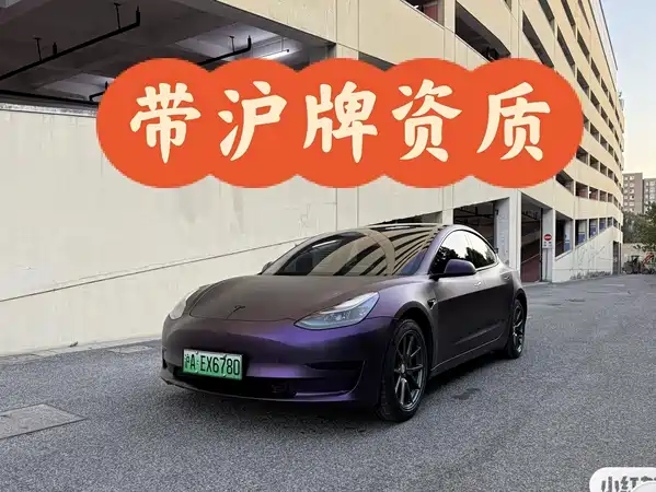 Tesla Model 3 2021