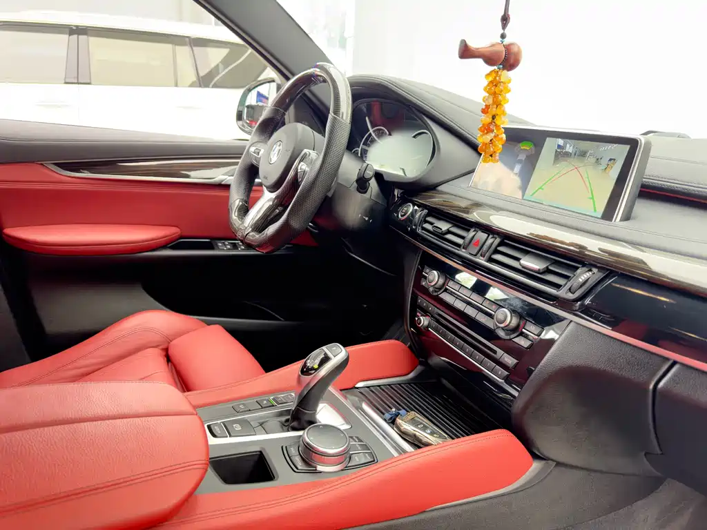 BMW X6 2017 — фото 10