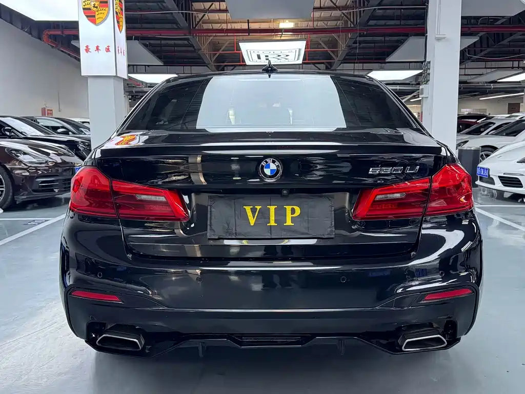 BMW 5 Series 2018 — фото 17