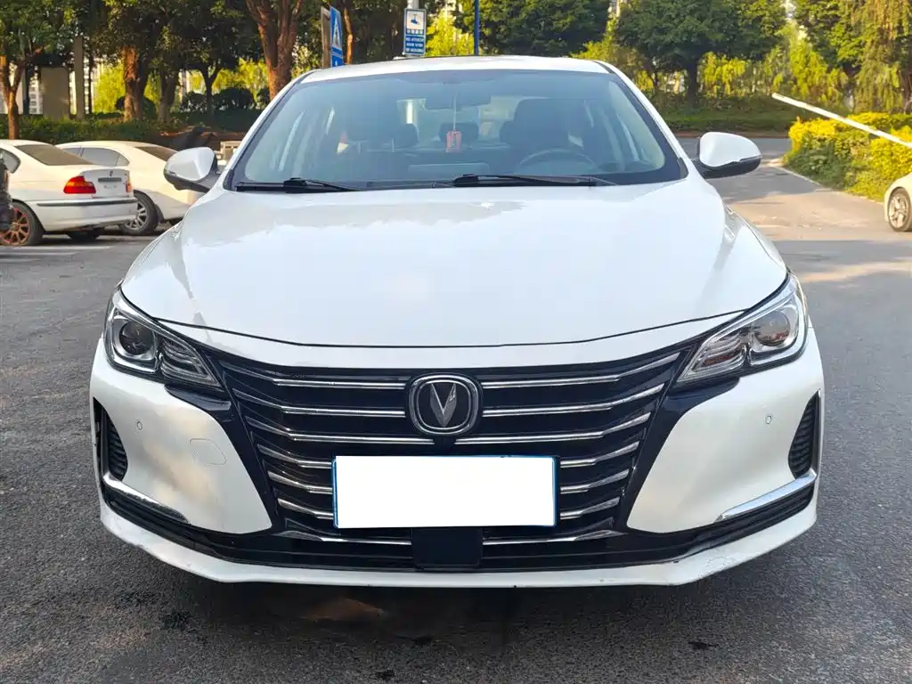 Changan Ruicheng CC 2020