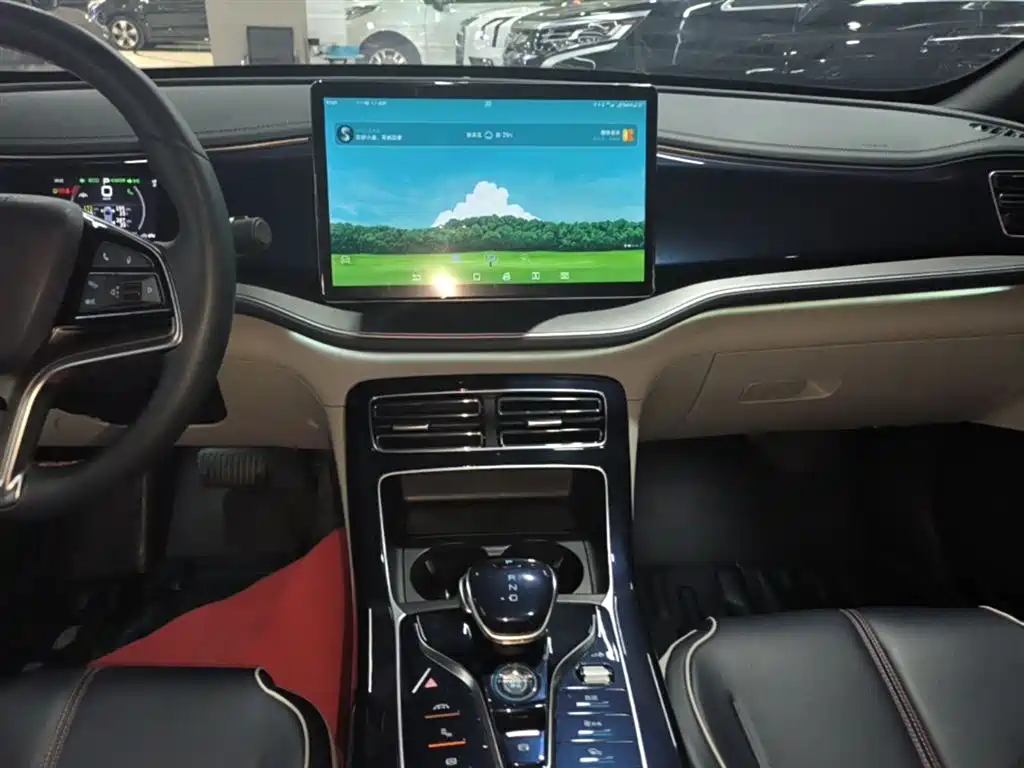 BYD Qin PLUS 2022 — фото 13