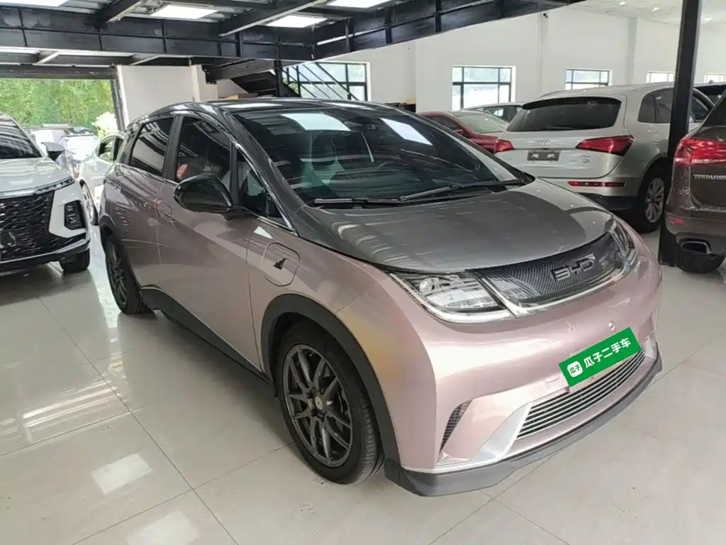BYD Dolphin 2022