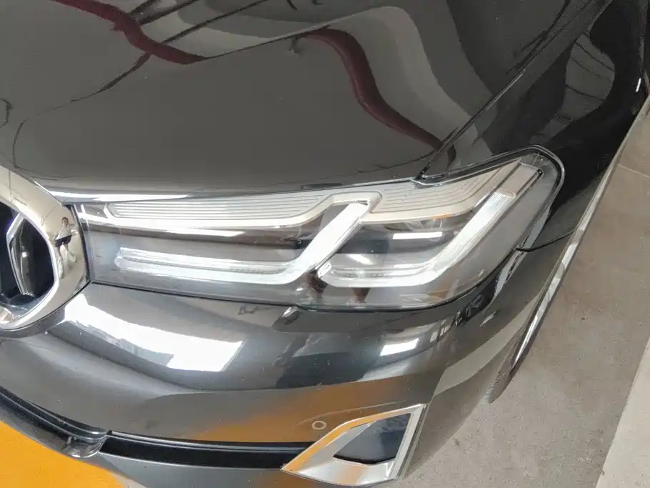 BMW 5 Series New Energy 2021