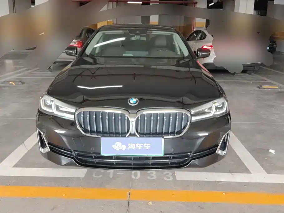 BMW 5 Series New Energy 2021