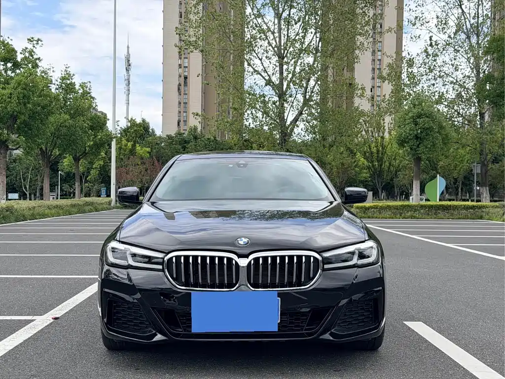 BMW 5 Series 2021