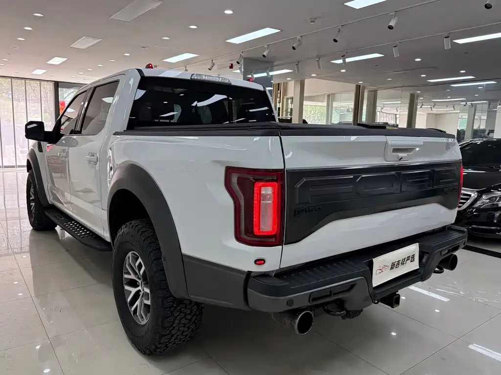 Ford F-150 Raptor 2018 — фото 15