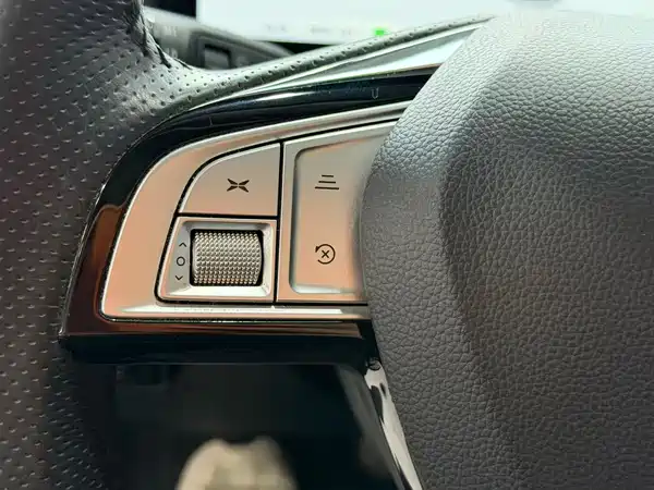 XPeng P5 2021