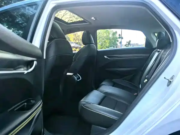 Geely Binrui 2019