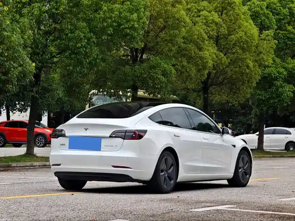 Tesla Model 3 2020