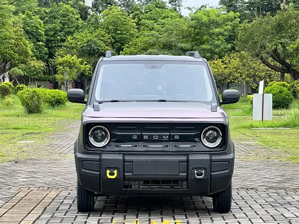 Geely Galaxy Panda 2024