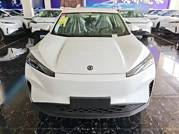 Dongfeng Aeolus SKY 2025