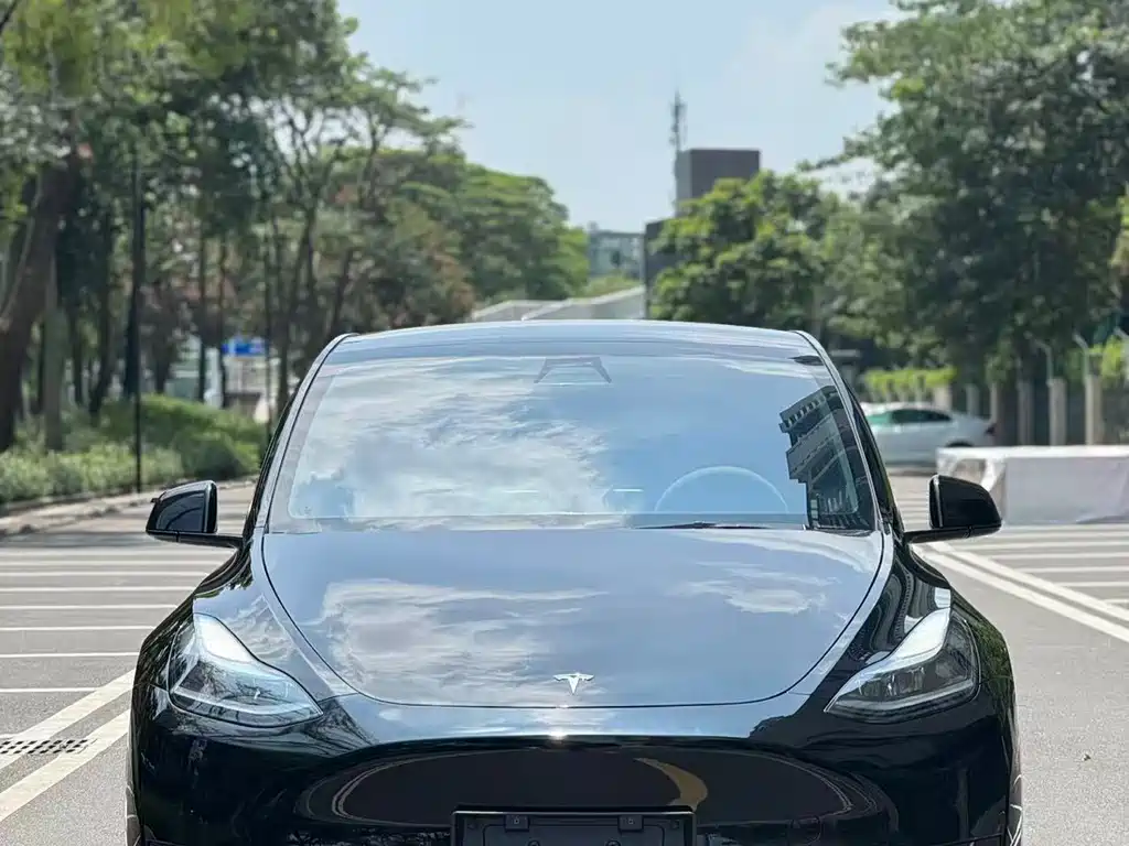 Tesla Model Y 2023 — фото 2