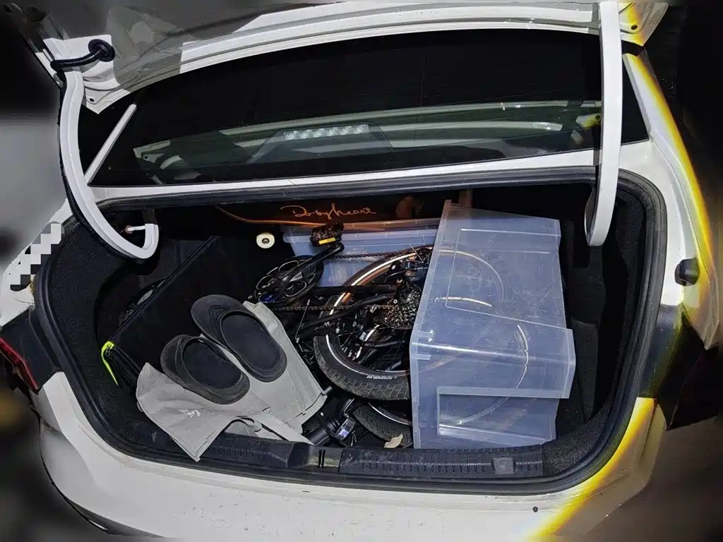 Volkswagen Lavida Pure Electric 2020 — фото 10