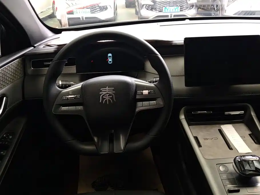 BYD Qin PLUS 2025 — фото 15