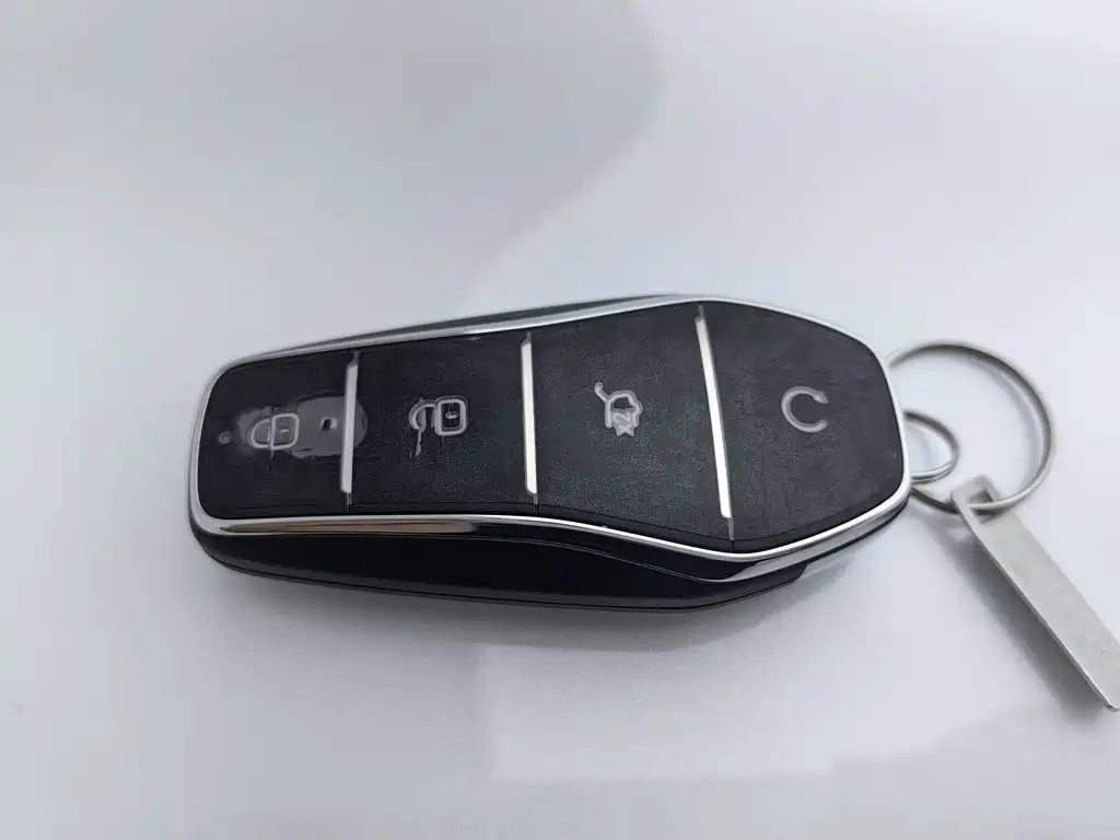 BYD Song L DM-i 2026 — фото 19