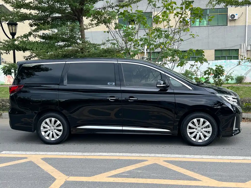 GAC Trumpchi M8 2020 — фото 8