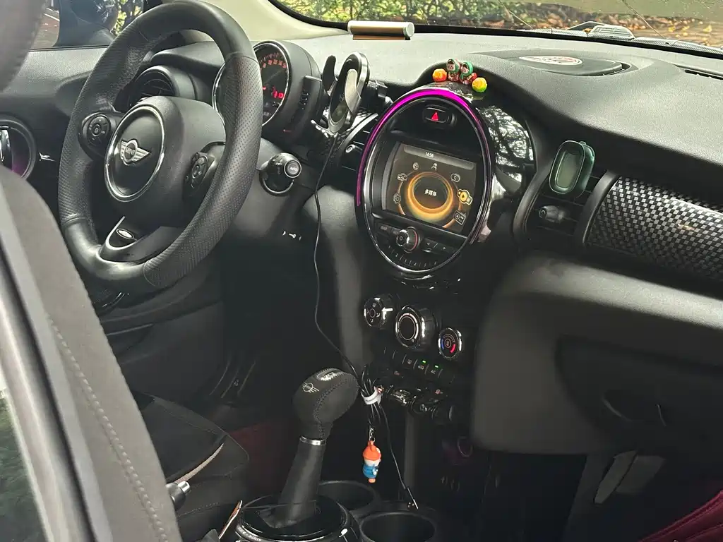 MINI MINI 2017