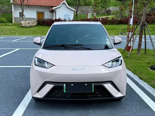 BYD Seagull 2024