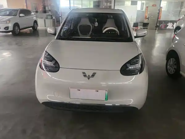 Wuling Bingo 2024