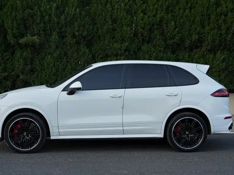 Porsche Cayenne 2016 — фото 4