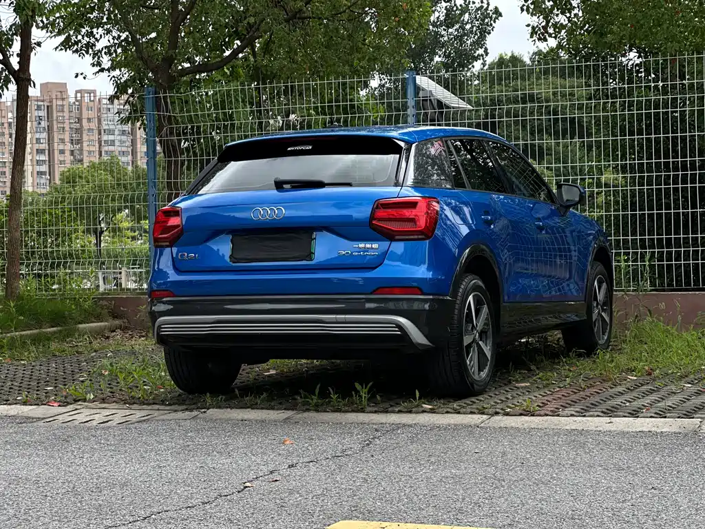 Audi Q2L E-Tron 2020 — фото 22