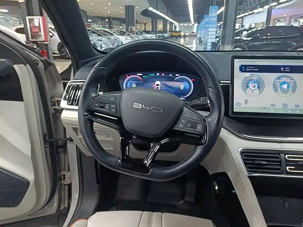 BYD PLUS New Energy 2024 — фото 11