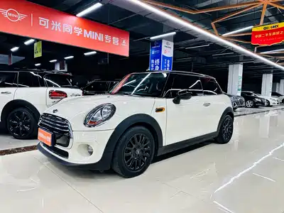 MINI MINI 2017