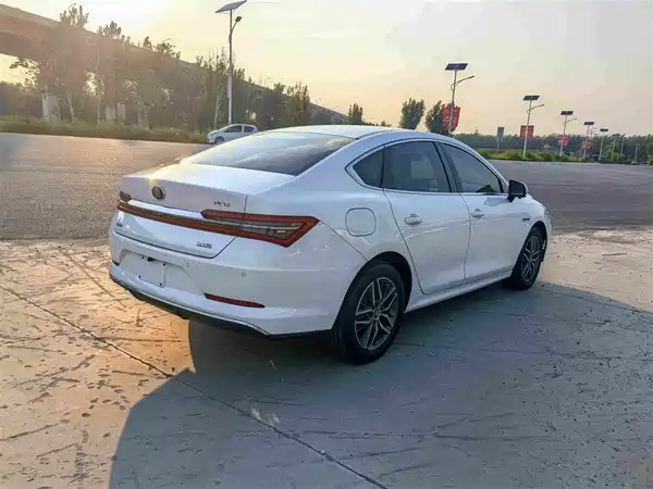 BYD Qin Pro New Energy 2020