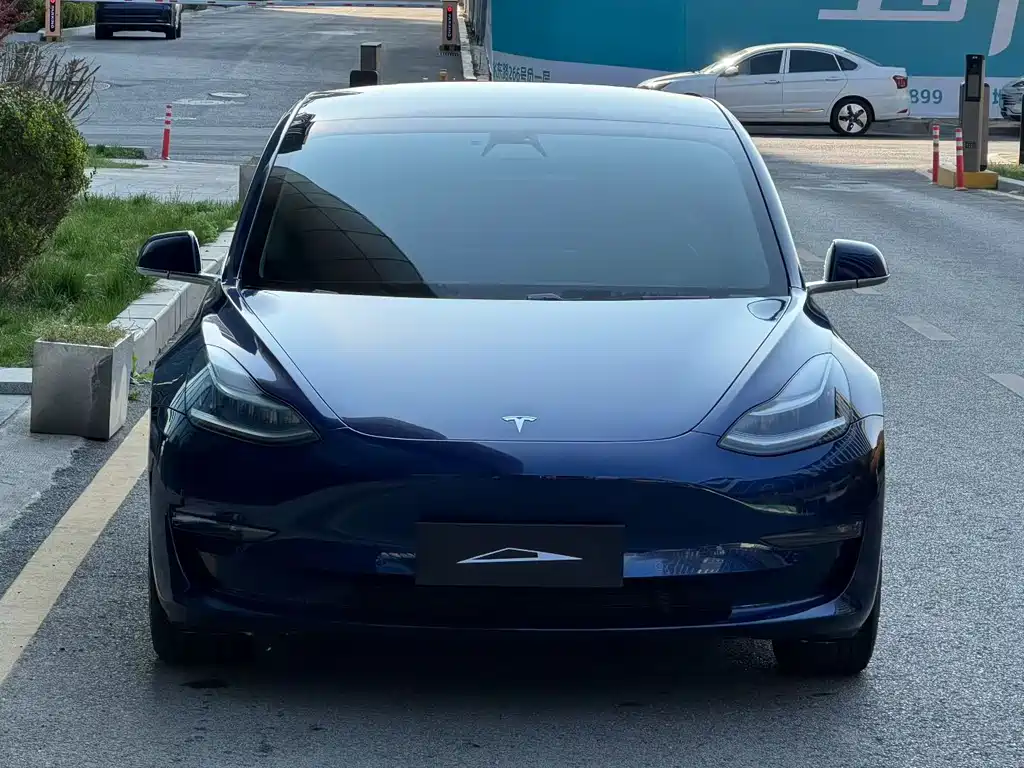 Tesla Model 3 2020 — фото 2
