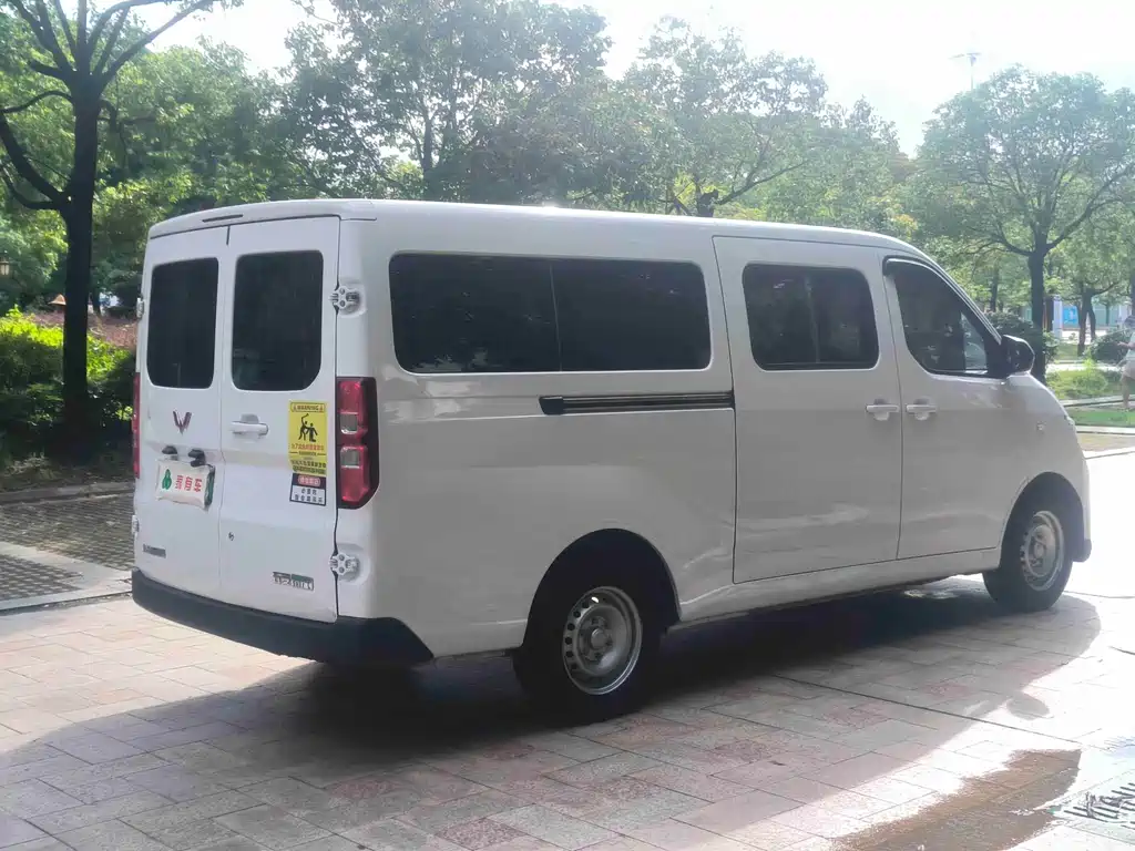 Wuling Yangguang 2025