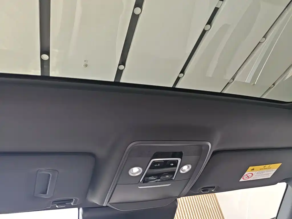 BYD Song PLUS New Energy 2025 — фото 18