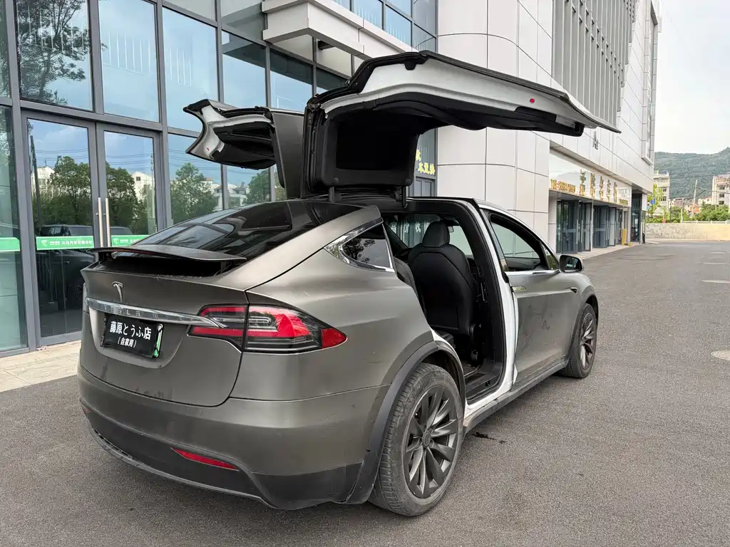 Tesla Model X 2020 — фото 7