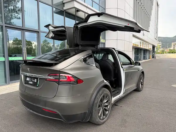Tesla Model X 2020