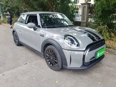 MINI MINI 2022