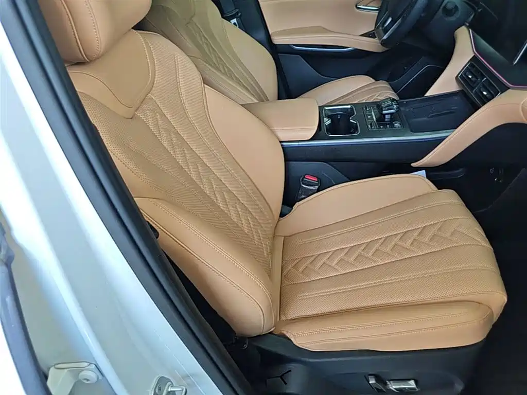 BYD L DM-i 2024 — фото 25