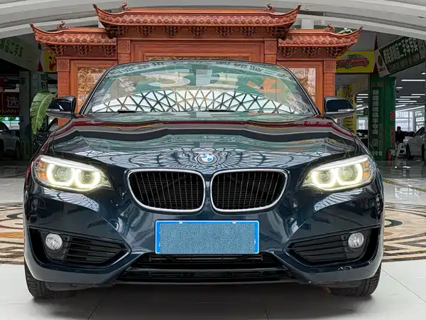 BMW 2 Series 2015
