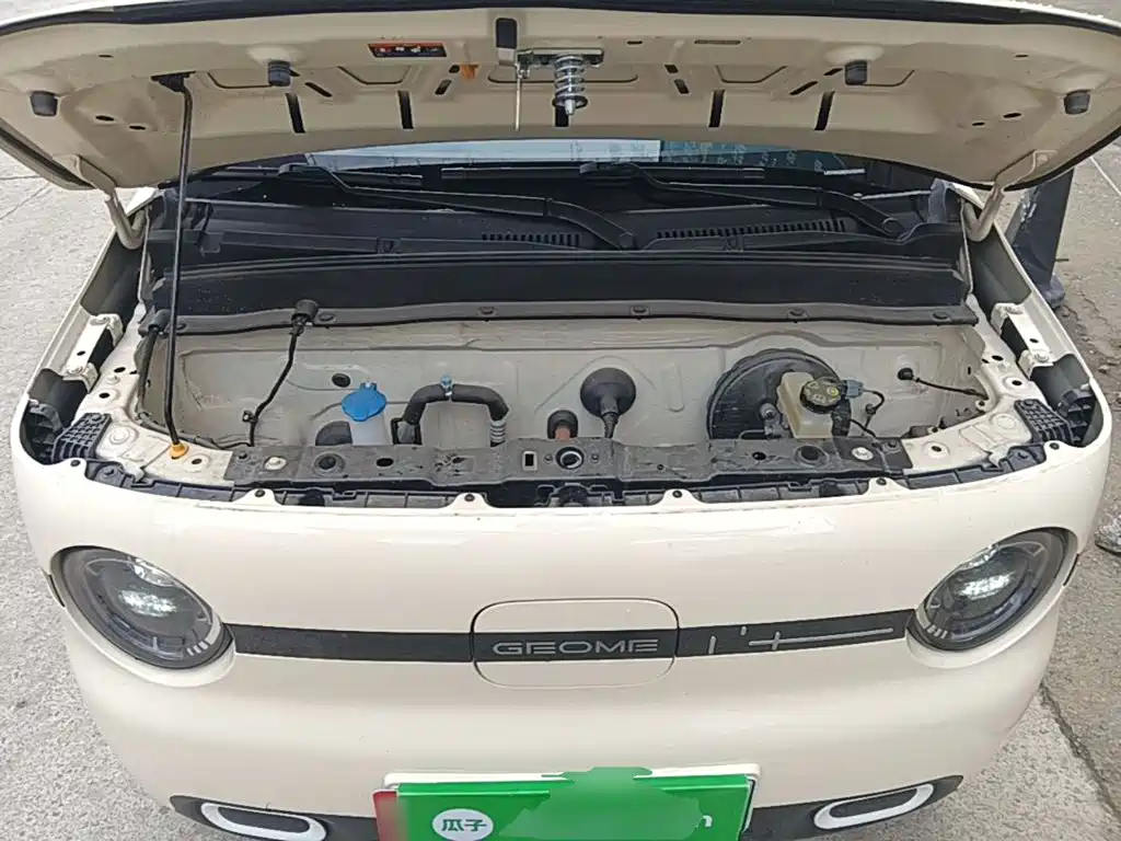 Geely Galaxy Panda 2025 — фото 20
