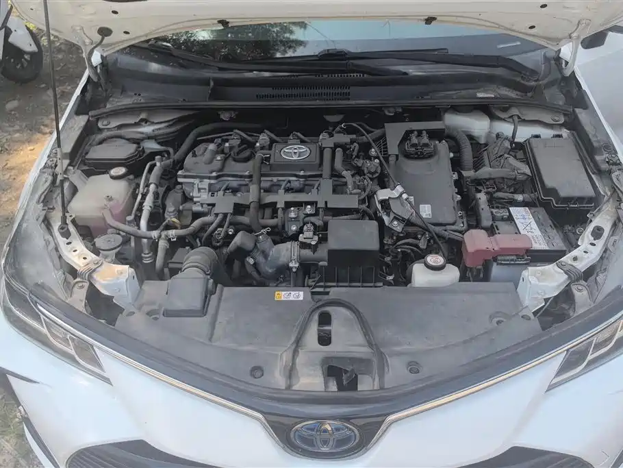 Toyota Corolla 2019 — фото 10