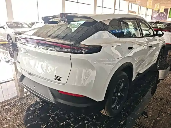 Dongfeng Aeolus SKY 2025