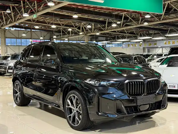 BMW X5 2025