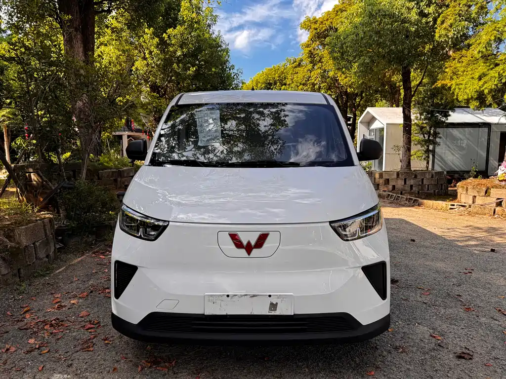 Wuling Yangguang 2025