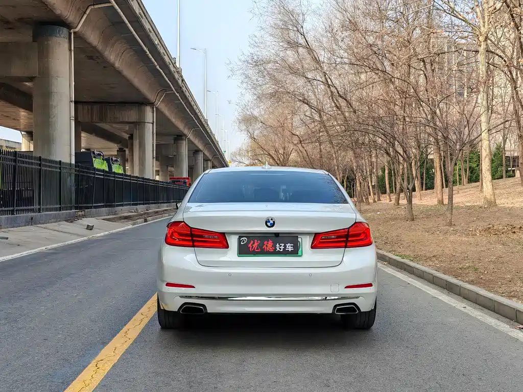 BMW 5 Series New Energy 2020