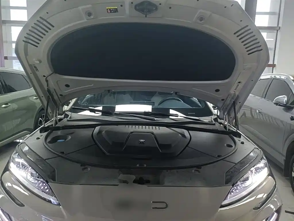 BYD PLUS New Energy 2024 — фото 20