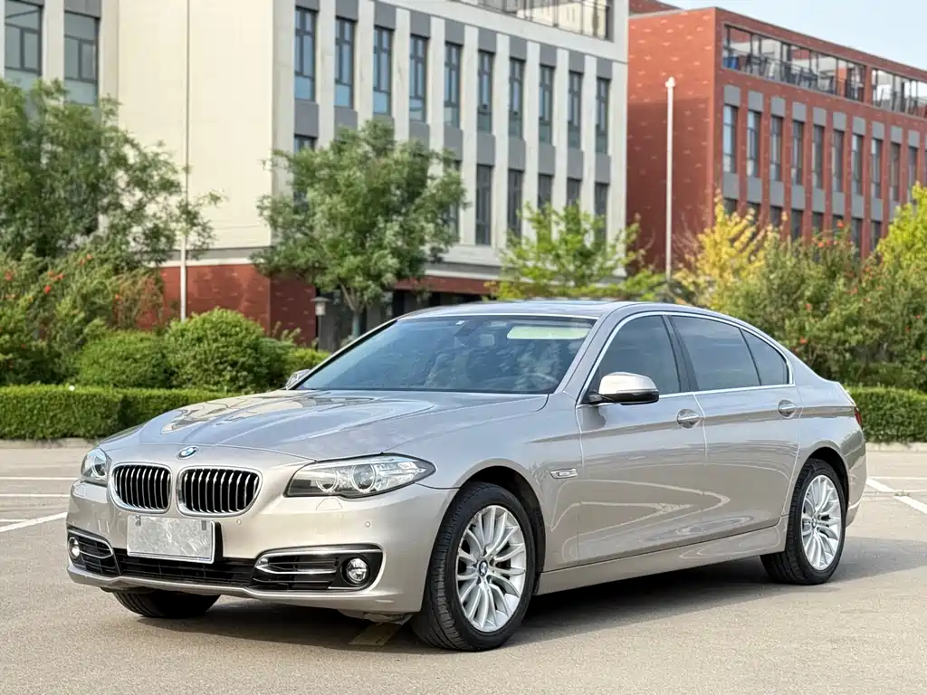 BMW 5 Series 2014 — фото 1