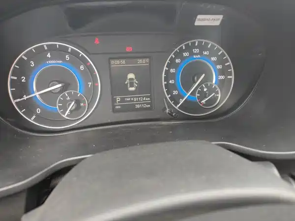 Dongfeng Scenery S560 2020